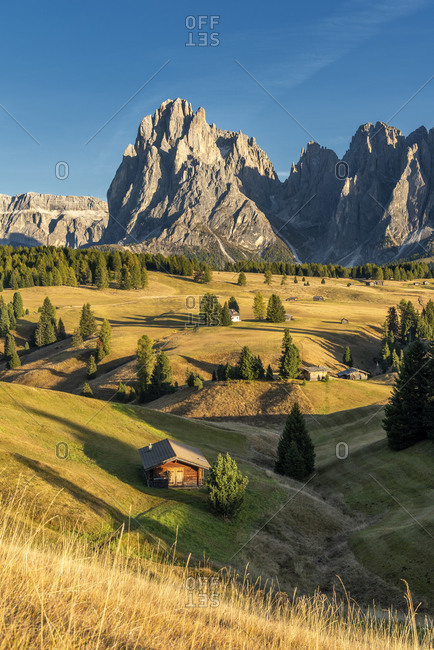Alpe di Siusi, Castelrotto, South Tyrol, Bolzano province, Italy, Europe. Sunset on the Alpe di Siusi with a view of the Sassolungo massif