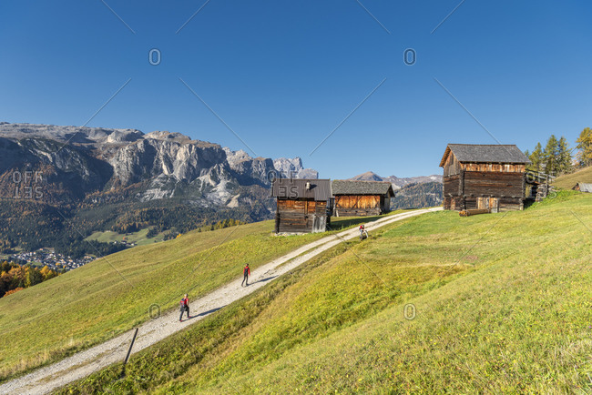 Hochabtei, Alta Badia, Bolzano province, South Tyrol, Italy, Europe. Ascent to the Armentara meadows. In the back the puez group