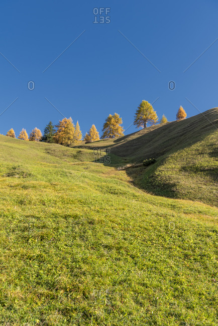 Hochabtei, Alta Badia, Bolzano province, South Tyrol, Italy, Europe. Autumn in the Armentara meadows