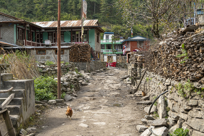 Mountain village Thonje, from the Manaslu Circuit you meet the Annapurna circuit.