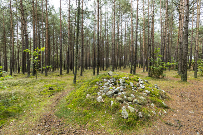 Europe, Poland, Pomerania, Kashubia, Kaschubei -  megalithic stone circles