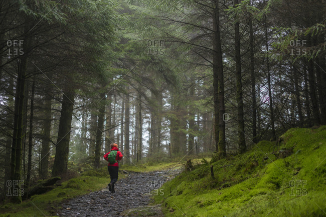 Woman walking in Beddgelert forest in Snowdonia in Wales