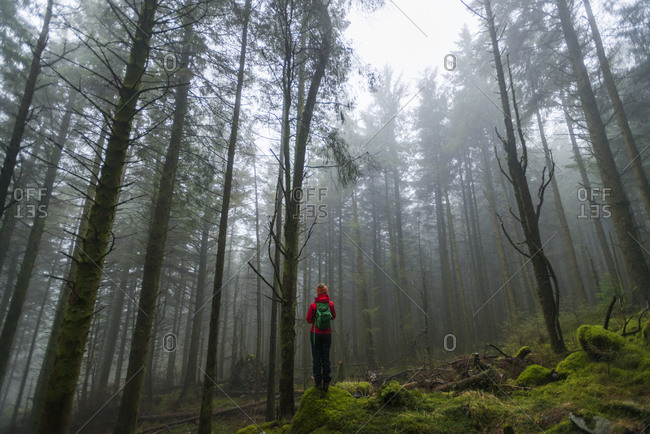 Woman walking in Beddgelert forest in Snowdonia in Wales
