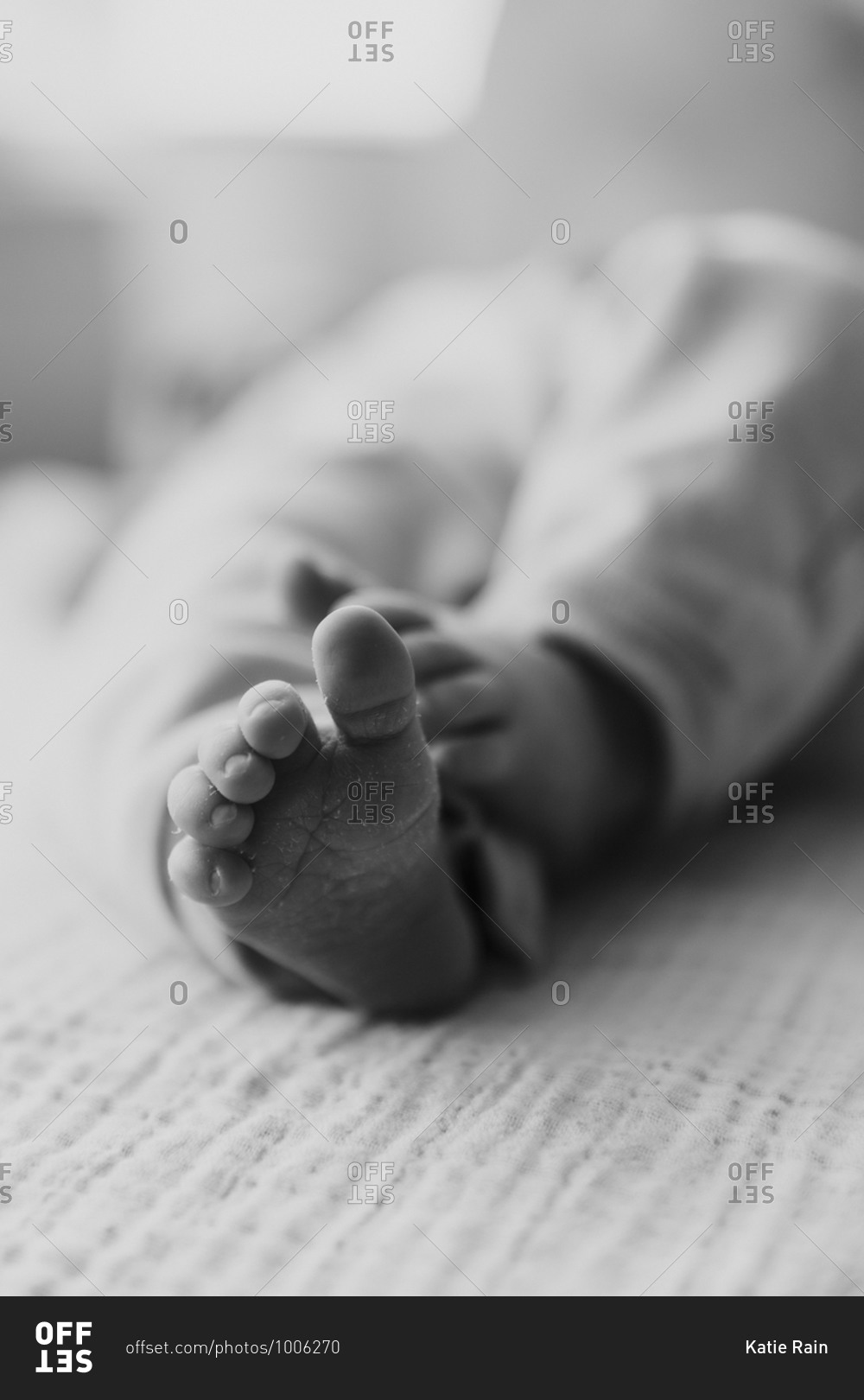 baby-s-bare-feet-in-black-and-white-stock-photo-offset