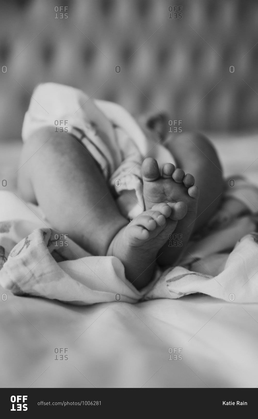 Baby feet and legs wrapped around sheets in black and white