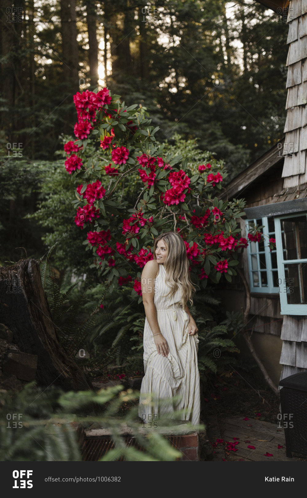 Woman standing in front of a large flowering shrub by a cabin in the woods