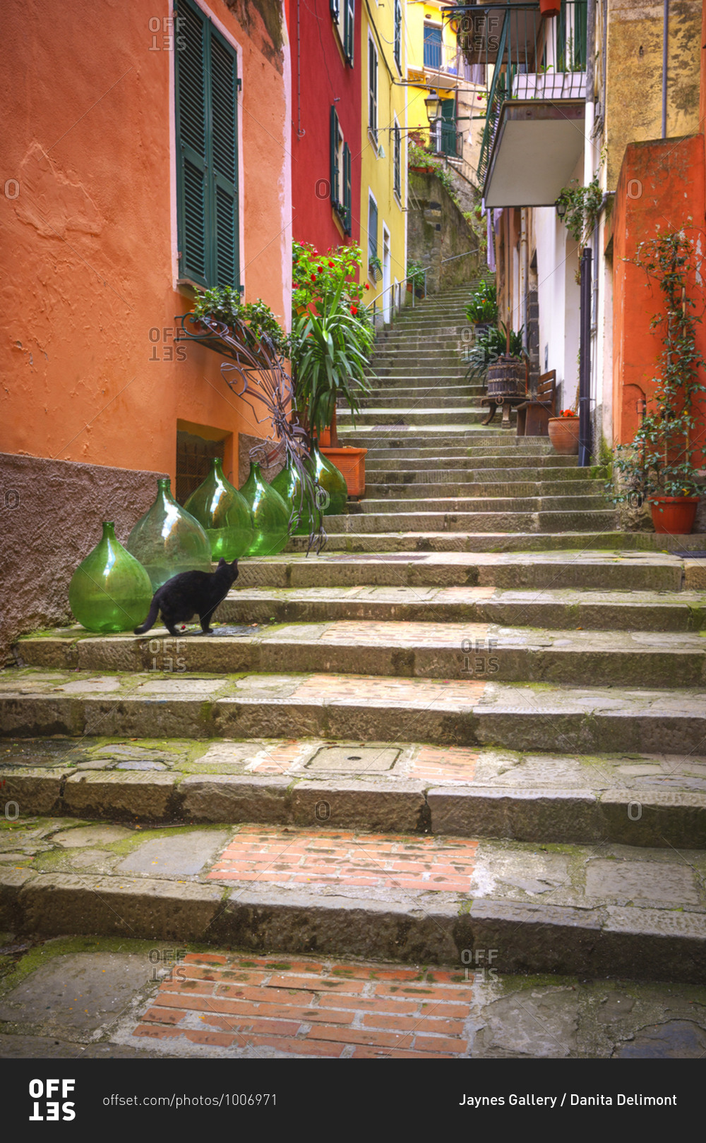 Europe, Italy, Monterosso. Cat on long stairway.