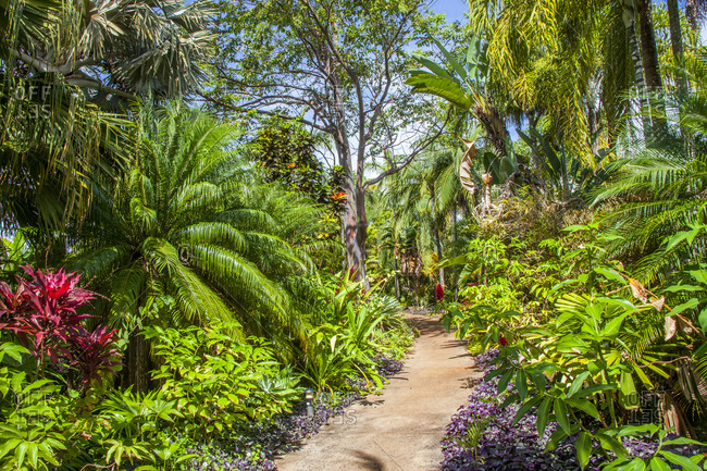 Allerton Garden Stock Photos Offset - Kauai Botanical Gardens Poipu Allerton Garden Stock Photos Offset - Kauai Botanical Gardens Poipu