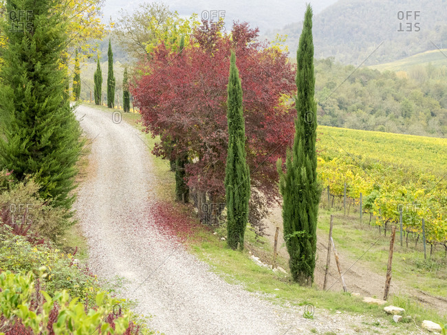 Europe, Italy, Chianti. Jars of different paint colors in a