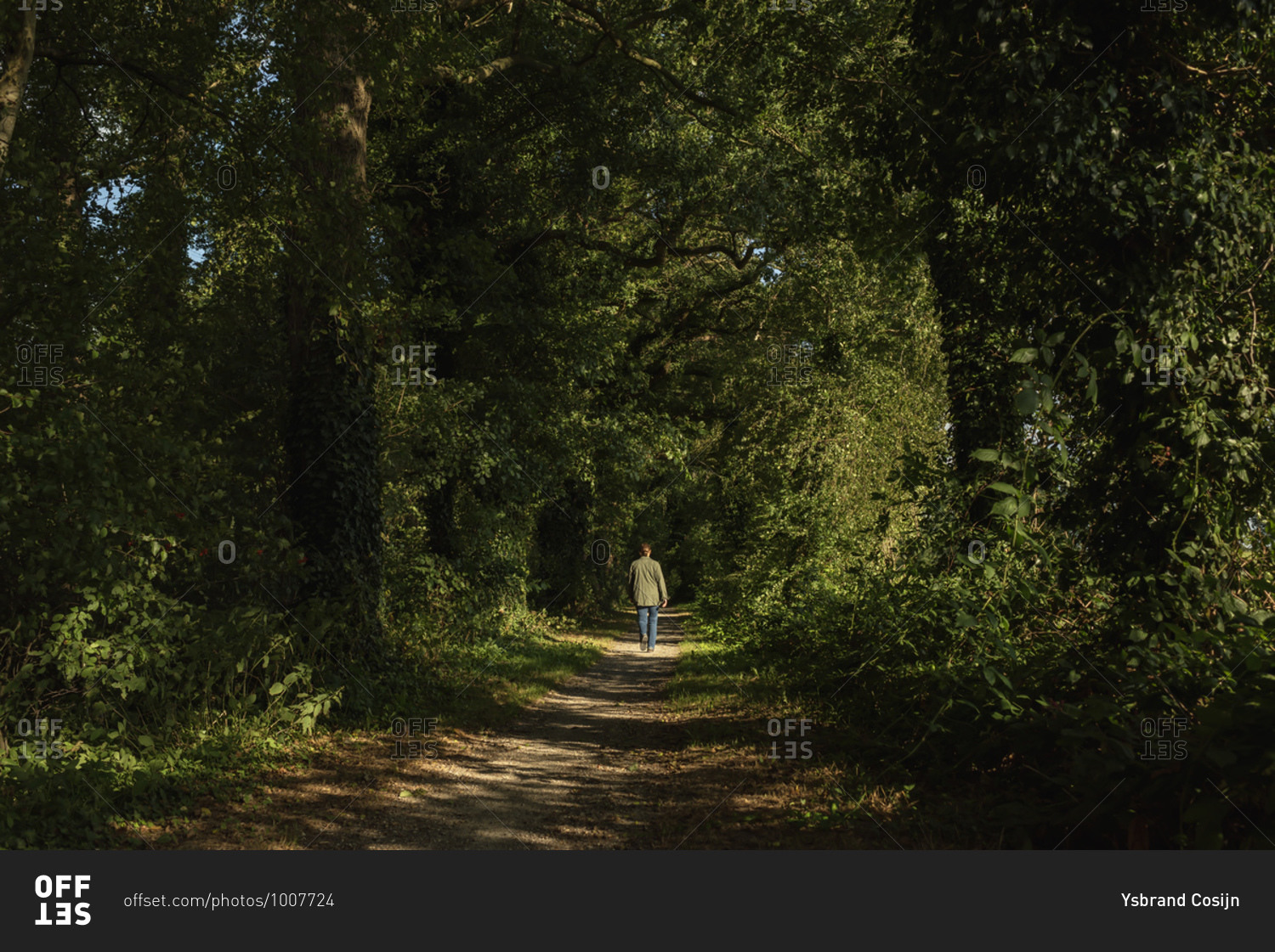 Rear view of woman walking on path in the woods