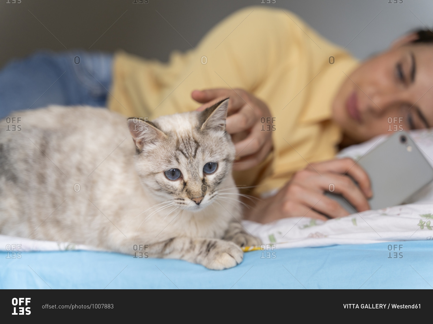 Woman with phone looking at cat while lying in bedroom