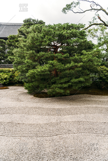 Japan- Kyoto- Japanese rock garden