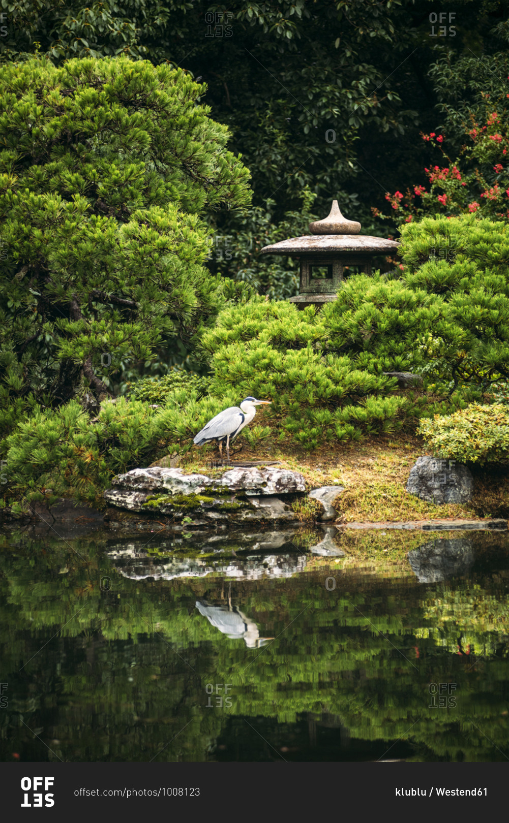 Japan- Kyoto- Heron by pond and stone lantern in Japanese garden stock ...