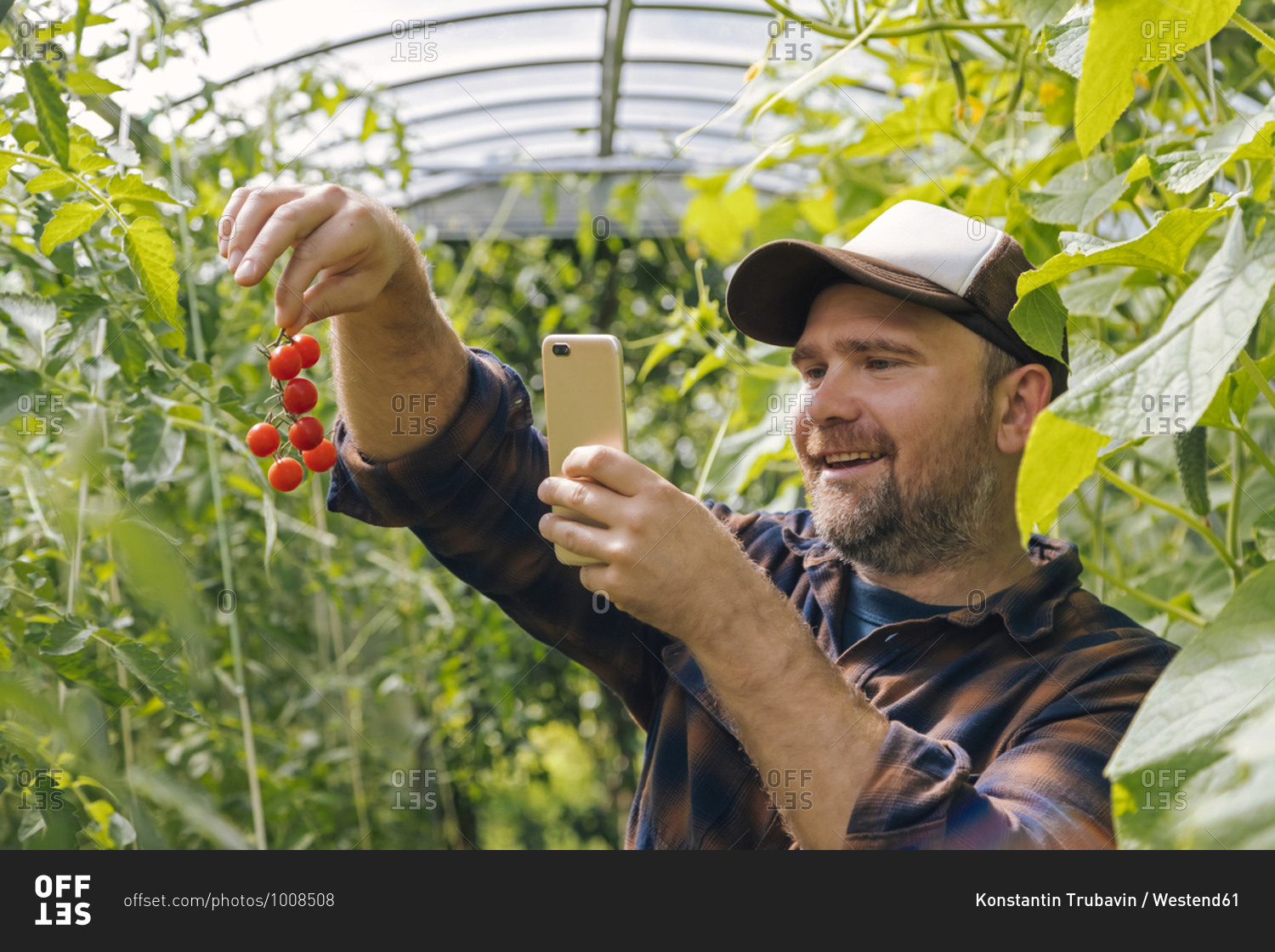 Smiling farmer holding harvested tomato\'s and mobile phone