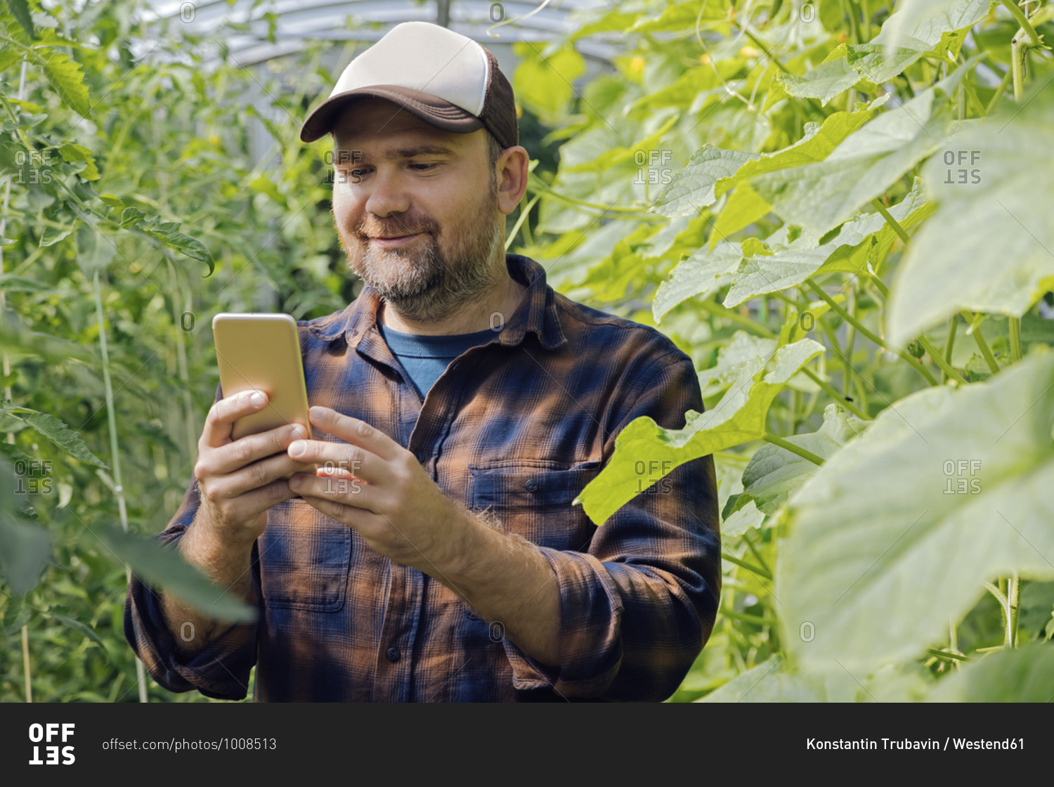Portrait of a farmer using mobile phone in a greenhouse