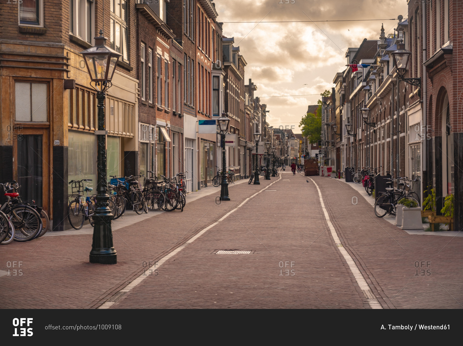 Netherlands- South Holland- Leiden- Haarlemmerstraat street at dusk