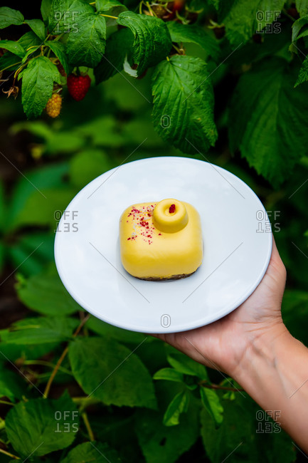 Female hand hold raw cake on a plate near raspberry bush