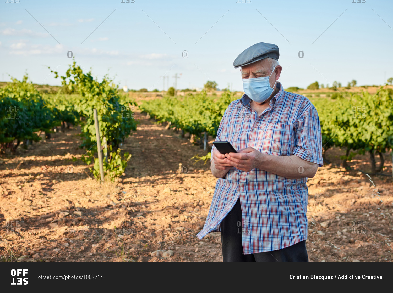 Senior male in protective mask standing on rural road and reading message on mobile phone in summer day