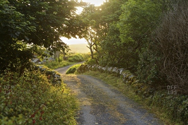 Rural road, Clifden, Connemara, Ireland