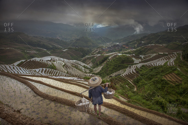 Farmer in terraced field, Longsheng, Guangxi Province, China