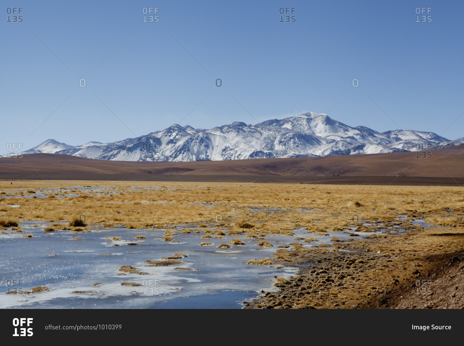 Altiplano, High Plateau, San Pedro de Atacama, Antofagasta, Chile
