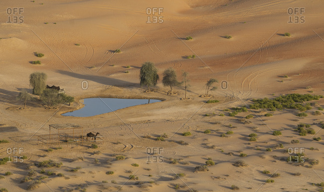 Oasis in the Empty Quarter Desert, between Saudi Arabia and Abu Dhabi, UAE