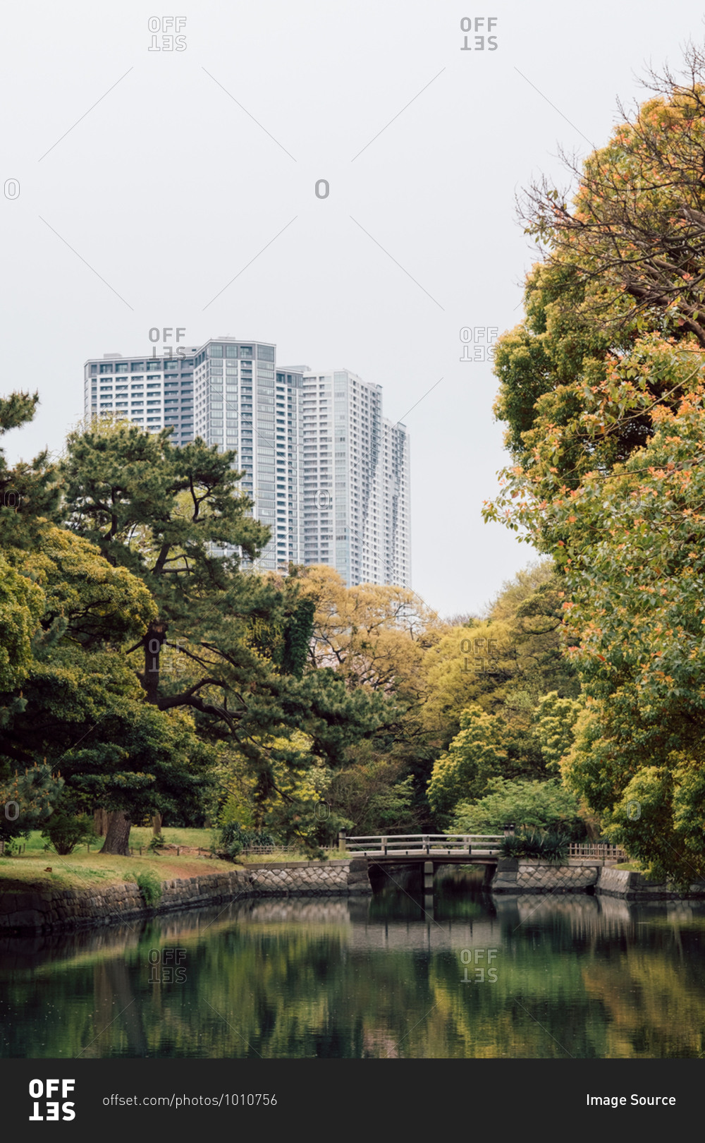 Serene scene of lake with high-rise buildings in background, Tokyo, Japan
