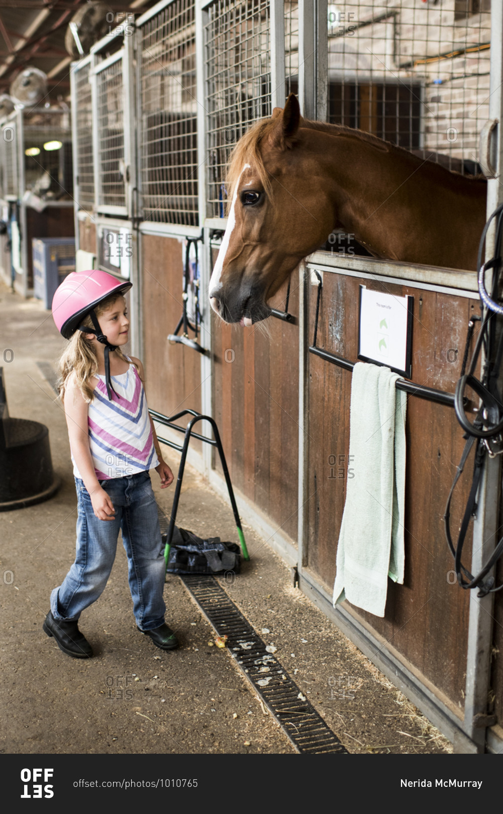 5 year old girl greeting brown horse in stable