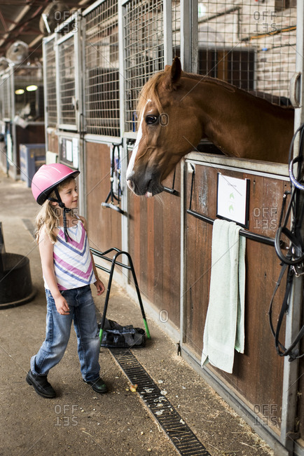 5 year old girl greeting brown horse in stable