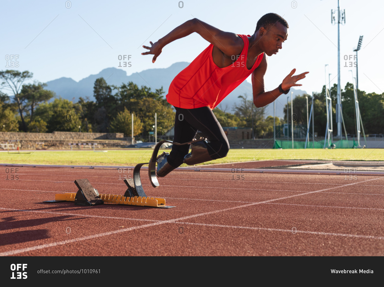 Fit, mixed race disabled male athlete at an outdoor sports stadium, starting sprint from starting blocks on race track wearing running blades. Disability athletics sport training.
