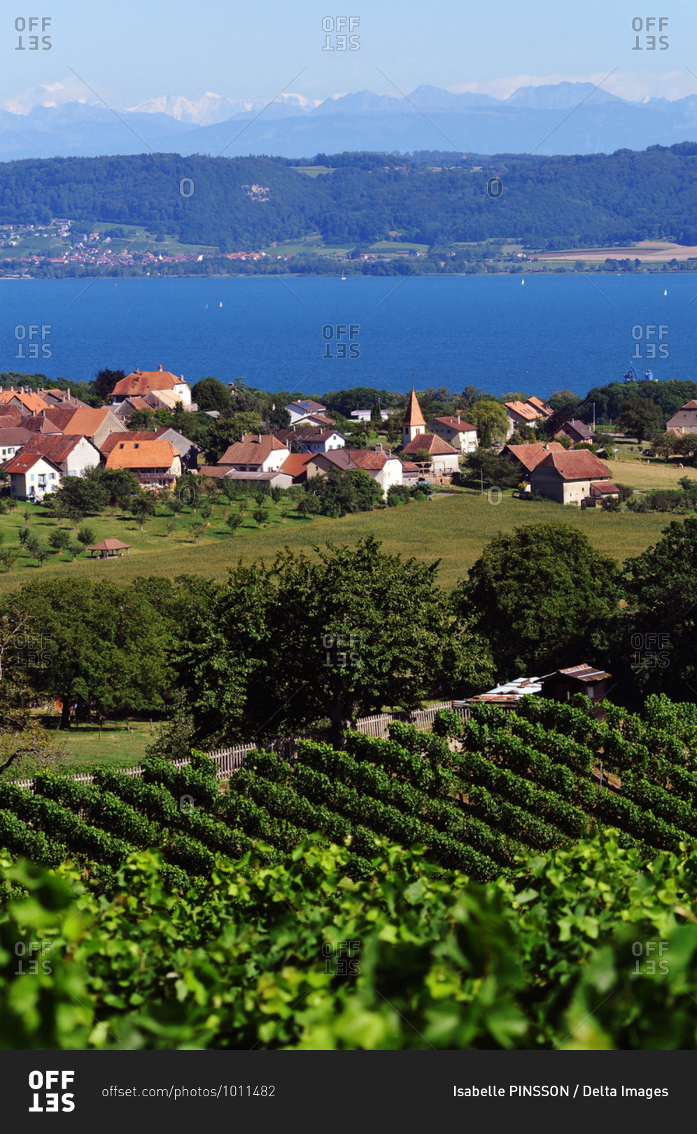 Switzerland, Vaud, region of Bonvillars on Neuchatel lake, view on vineyards, houses and on the lake