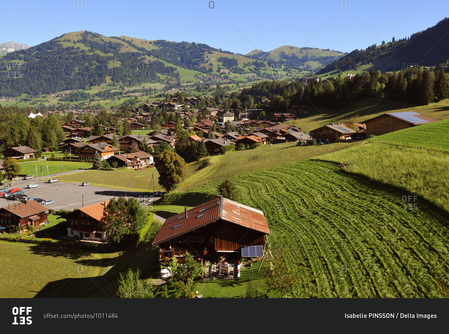 Switzerland, Berne canton, Hight-Simmental region in summer