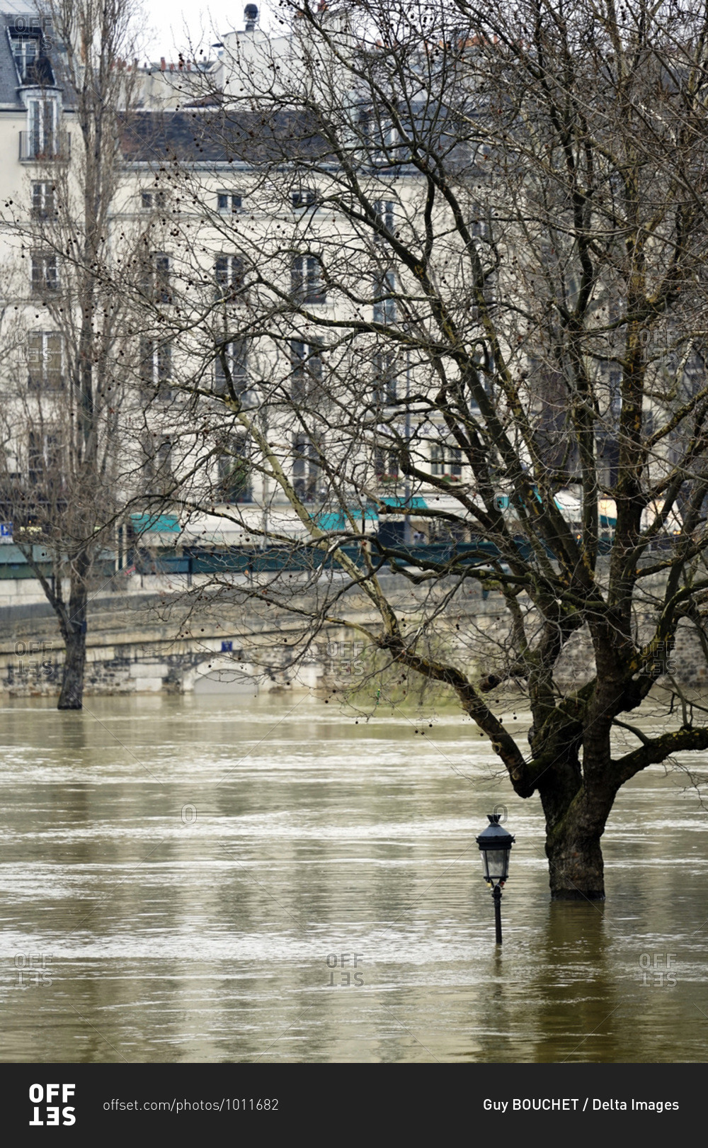 Europe, France, Ile de France, Paris, the Seine overflowing in January 28th 2018, a tree and a lamp post submerged by water at l\'ile St Louis
