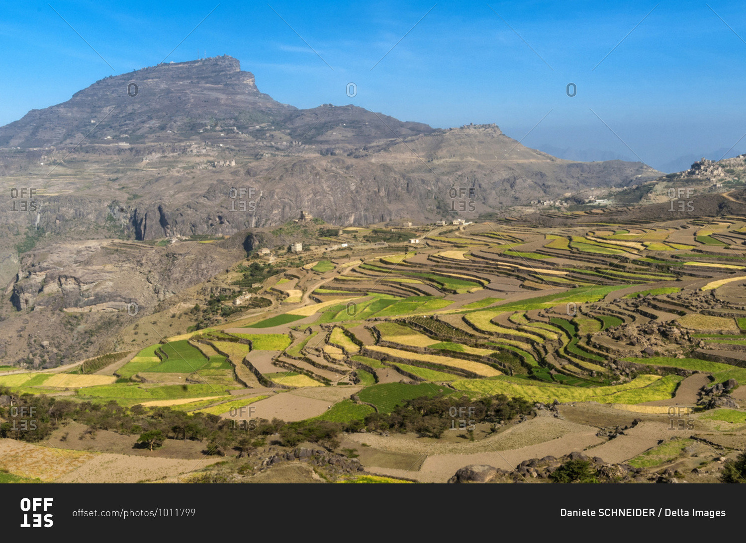 Middle East, Yemen, Center West, Jebel Harraz region (UNESCO World Heritage Tentative list), village and terrace cultivations (shooting 03/2007)