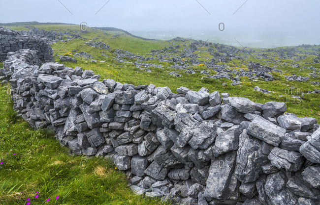 Europe, Republic of Ireland, County Galway, Aran Islands, Inishmore Island, cliffs dug by the sea near the Dun Aengus prehistorical Ringfort site (Aonghasa) (1100 BC - 800 AC) (National Monument)