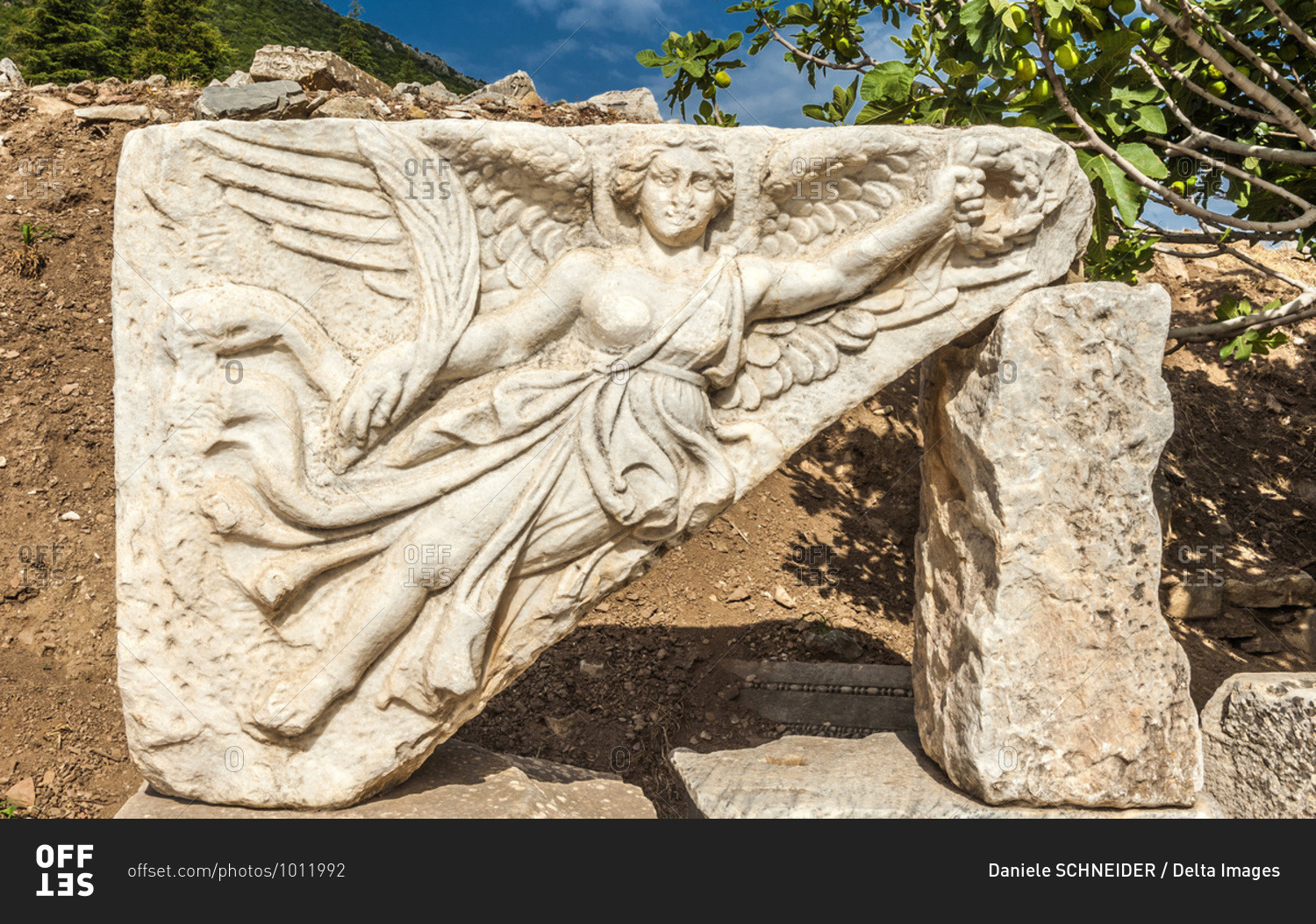 Turkey, province of Izmir, ancient Greek city of Ephesus (Roman port, role in the spread of Christianity with the councils of 431 and 449), bas-relief of the temple of Domitian (1st century) (UNESCO World Heritage)