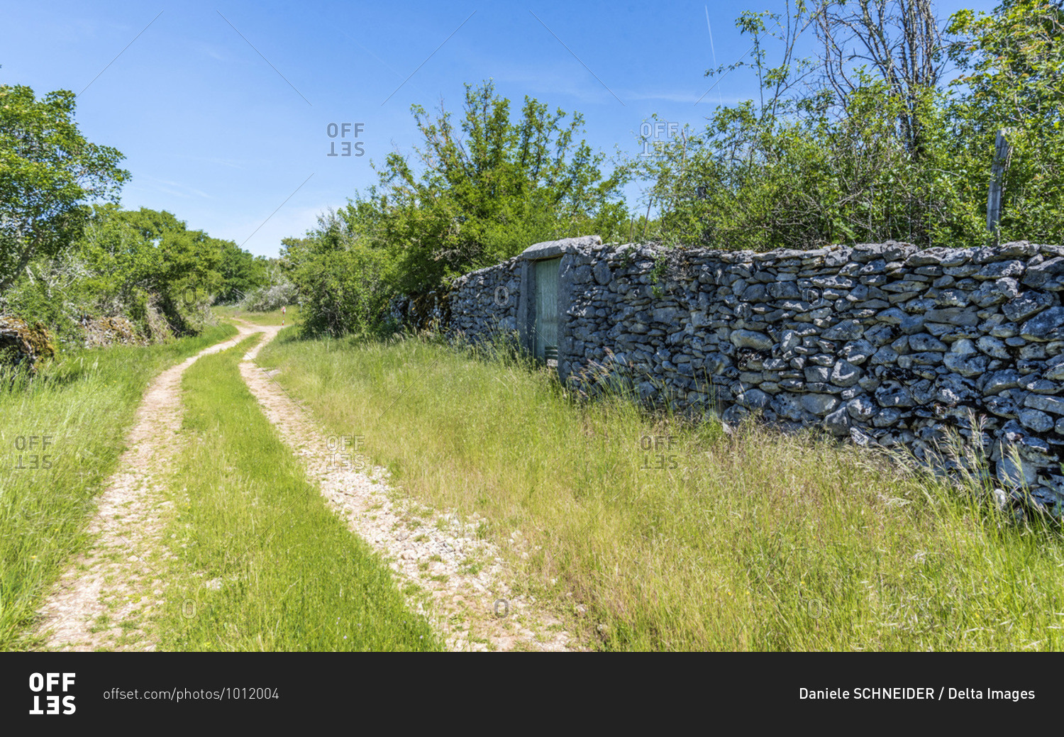 France, Lot, Causses regional Natural Park of Quercy, Natural Sensitive Space of Brauhnie, small stone wall in a ewes park and a pathway