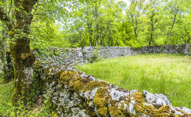 France, Lot, Causses regional Natural Park of Quercy, Natural Sensitive Space of Brauhnie, small stone wall in a ewes park