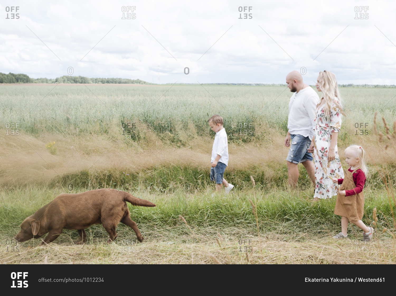 Family with Chocolate Labrador walking on oats field against sky