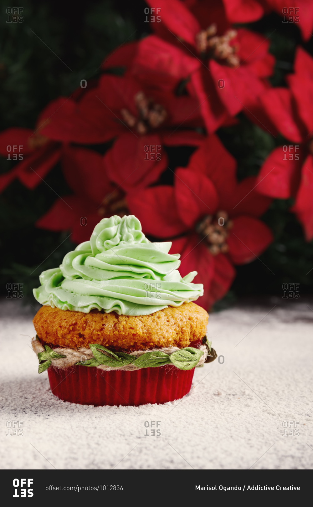 Yummy colorful cupcake with whipped cream in red paper cups decorated with green rope placed near Christmas tree branches on table sprinkled with sugar powder