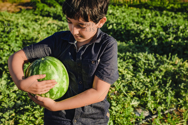Positive preteen boy holding ripe watermelon in green garden in summer day in countryside