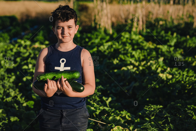 Positive proud preteen boy holding pile of freshly harvested zucchini and looking at camera while standing in green field