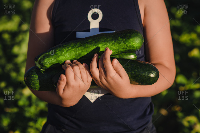 Crop unrecognizable preteen boy holding pile of freshly harvested zucchini and looking at camera while standing in green field