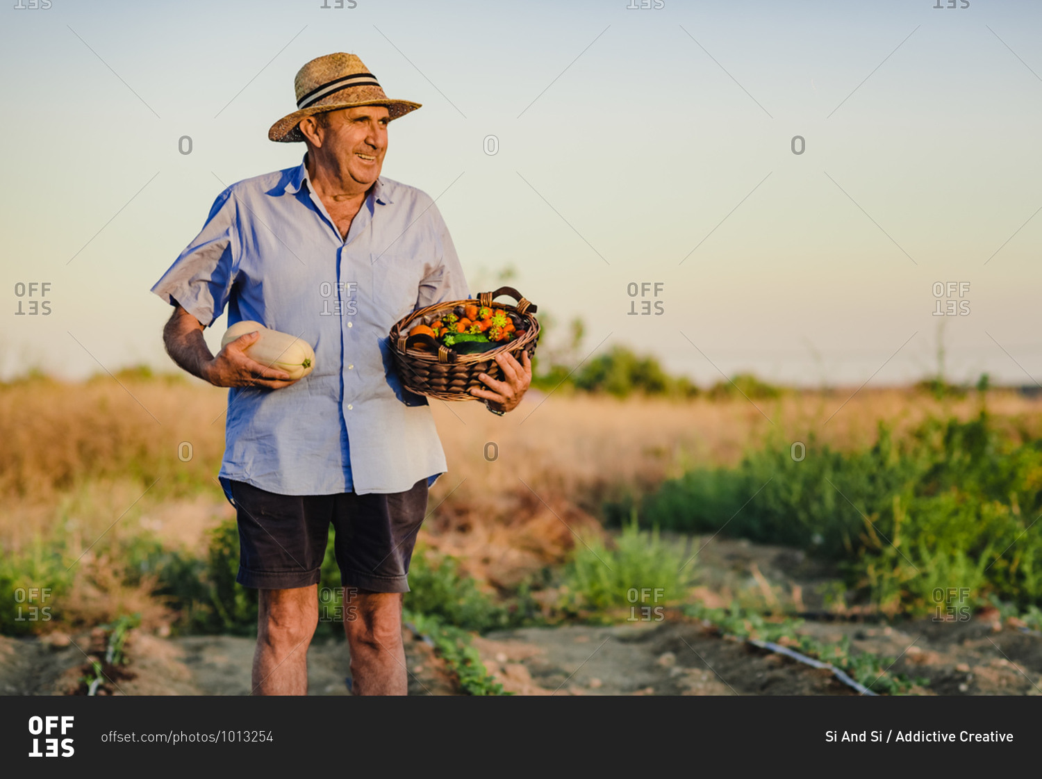 Aged male farmer standing barefoot with wicker basket of fresh fruits and vegetables on garden bed and looking away