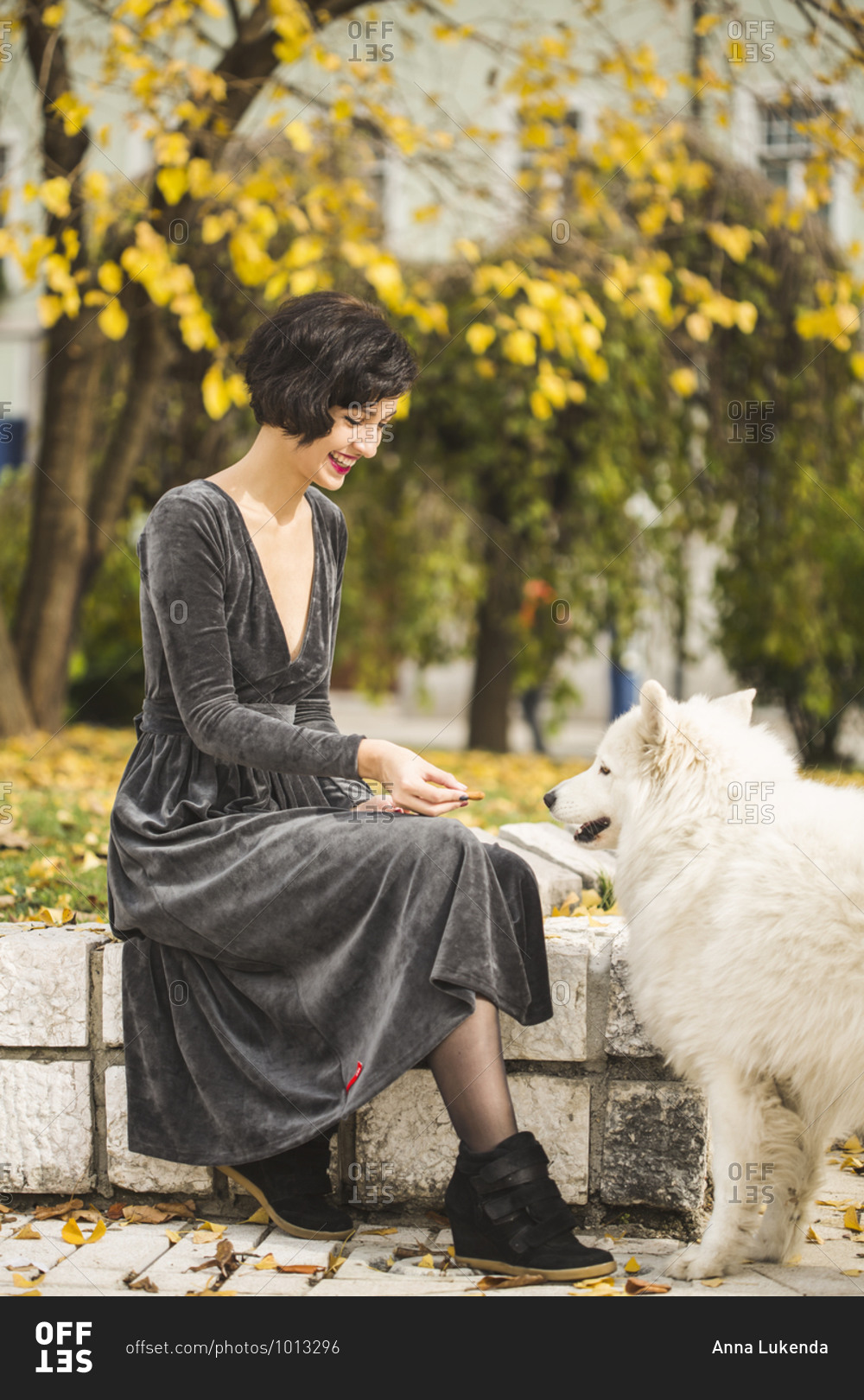 Beautiful woman sitting on a wall outside playing with white dog