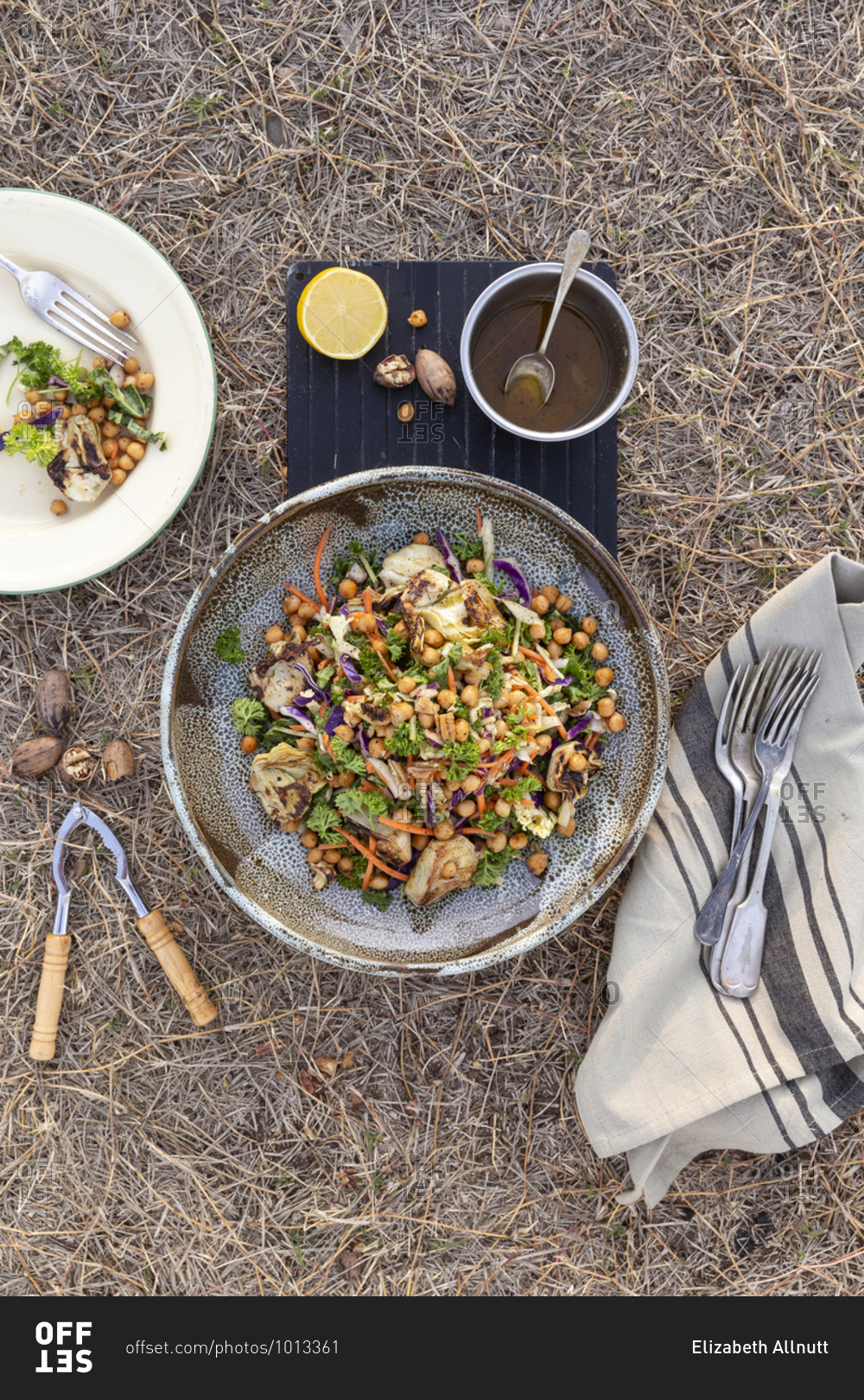 Overhead view of an artichoke and chickpea salad on ground outdoors