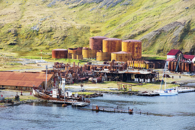 The old whaling station at Grytviken on South Georgia. In its 58 years of operation, it handled 53,761 slaughtered whales, producing 455,000 tons of whale oil and 192,000 tons of w