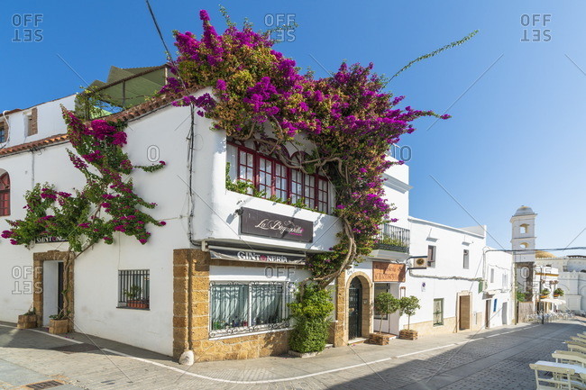 Conil de la Frontera - Cadiz Province