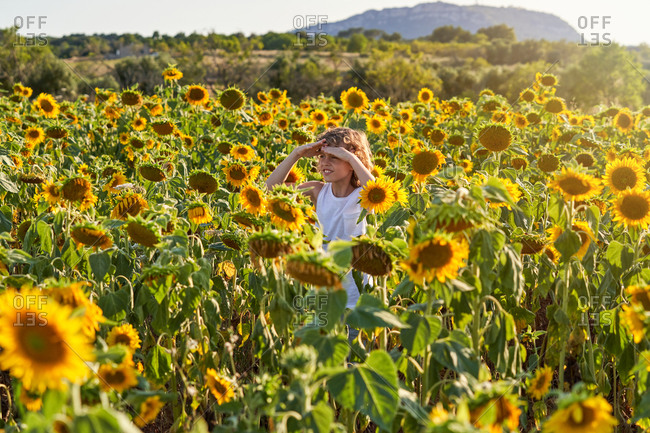Smiling teenager standing in blossoming sunflower meadow in countryside and looking away while enjoying summer