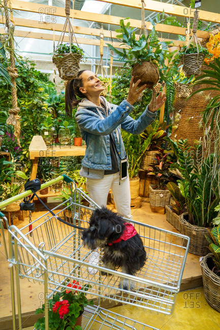 Young girl buying flowers and seasonal plants in a nursery with her dog